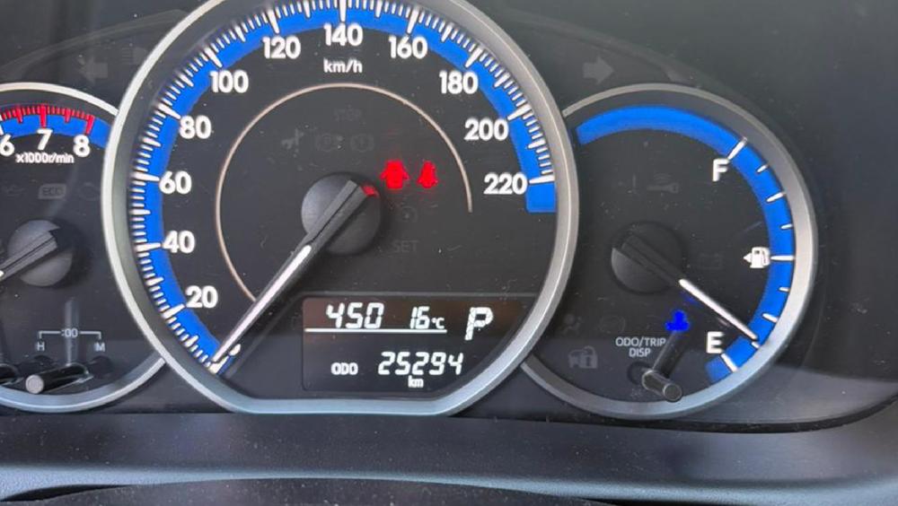 59566